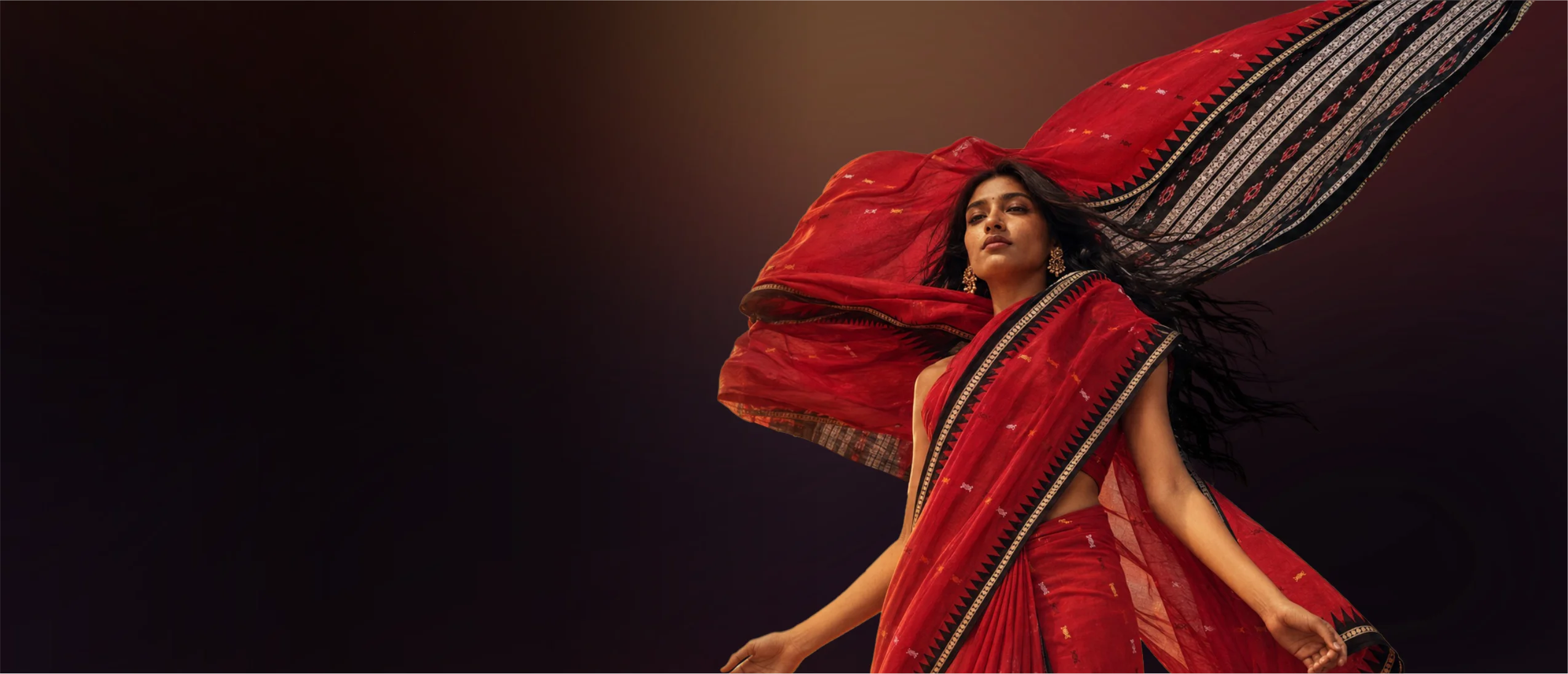 Handloom Sarees (17)